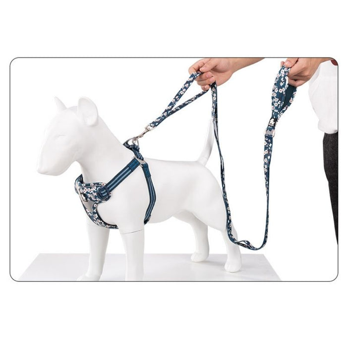 True Love Floral Leashes for Dogs - Saxone Blue