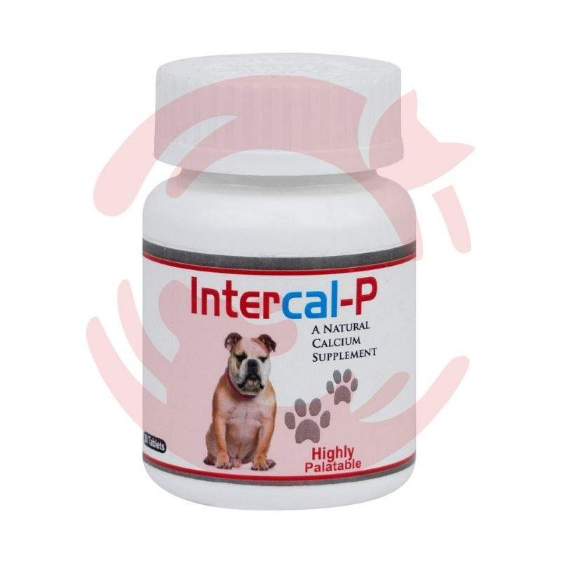 Atlantiz Inter Cal-P Calcium Supplement for Dogs and Cats (30 tablets)