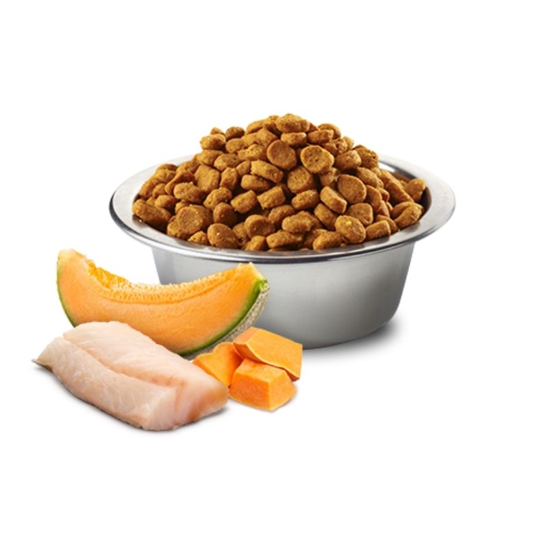 Farmina Dry Food - N&D Ocean Dog Pumpkin Codfish & Cantaloupe Melon Puppy Medium\Maxi