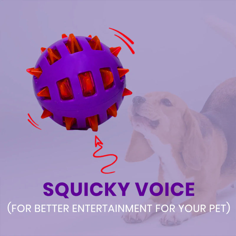 Basil Dog Toys - Spike Squeaky Big Ball