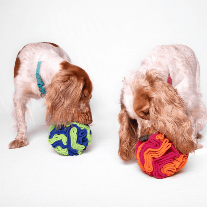 Happy Date Snuffle Treat Ball for Dogs Large, Dog Puzzle Toys for