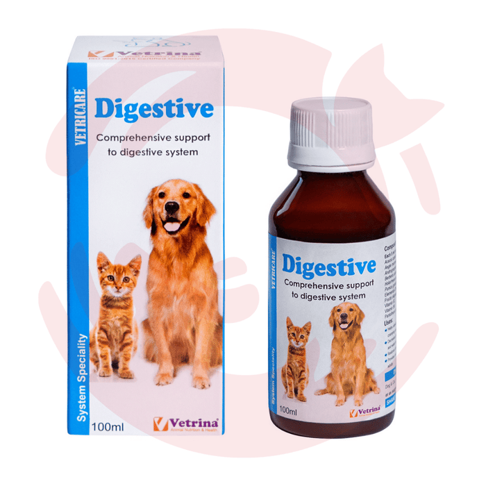 Vetrina Supplements for Cats & Dogs - Vetricare Digestive Care (100ml)
