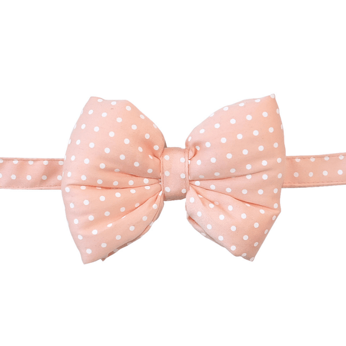 Mutt Of Course Dog Bow Tie - Peachy Perfect