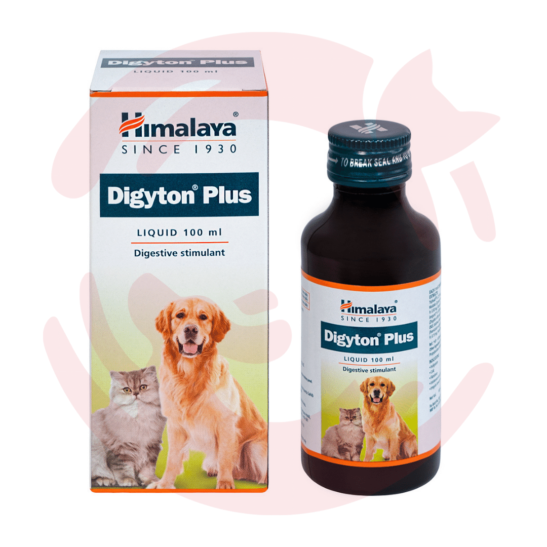 Himalaya Supplement for Dogs & Cats - Digyton Plus (100ml)