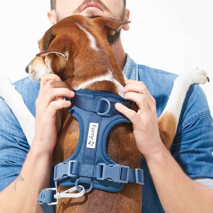 Furry&Co - Bold Harness for Dogs