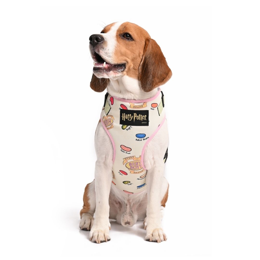 Harry Potter Harness For Cats & Dogs - Every Flavour Bean Harness