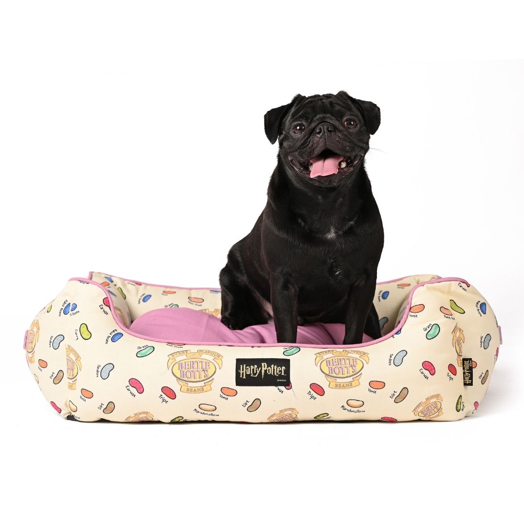 Harry Potter Lounger Bed - Every Flavour Bean Dog Bed
