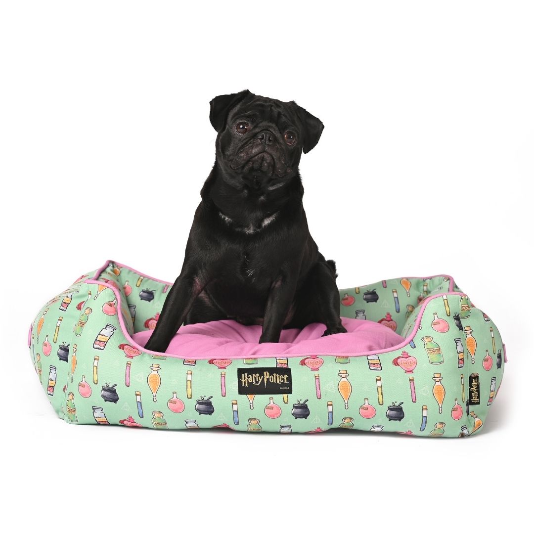 Harry Potter Lounger Bed - Potions in Motions Dog Bed