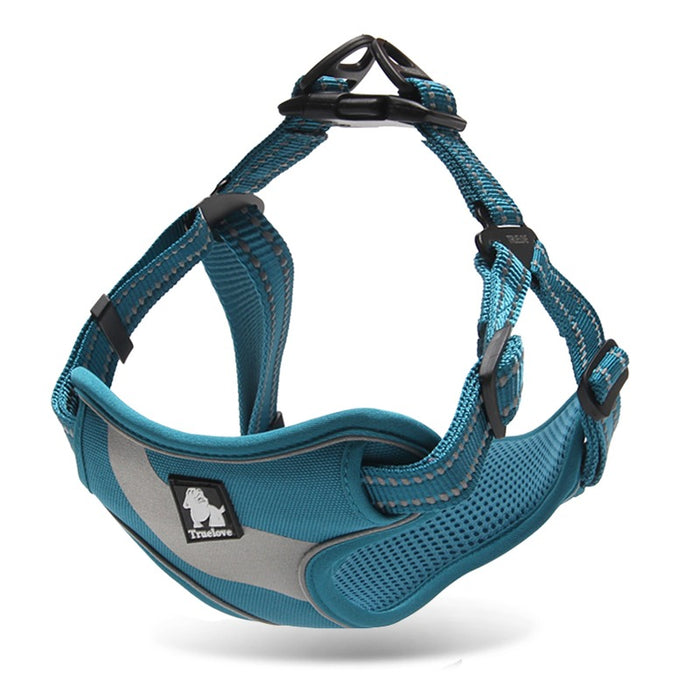 Barkbutler x True Love Harnesses for Dogs - Step In Harness
