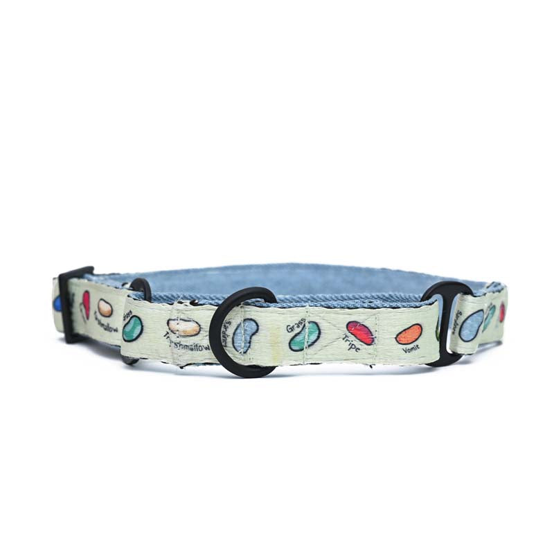 Harry Potter Martingale Collar - Every Flavour Beans Dog Martingale Collar