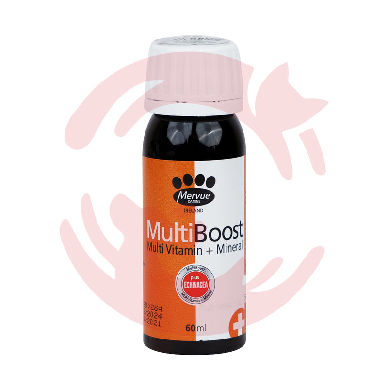Mervue Canine MultiBoost Immunity Booster for Dogs (60ml)
