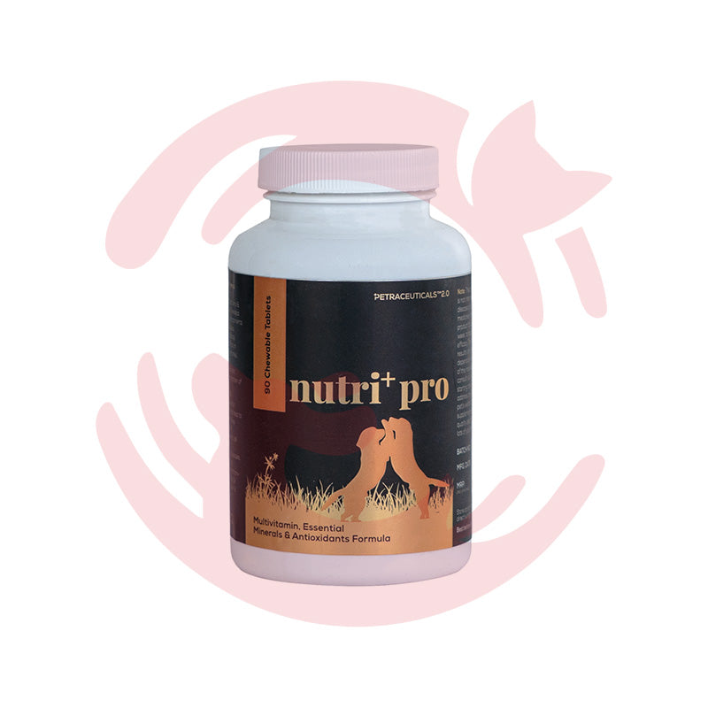 Venttura Supplements for Cats & Dogs - Nutri Plus Growth & Development Supplement (60 Tabs)