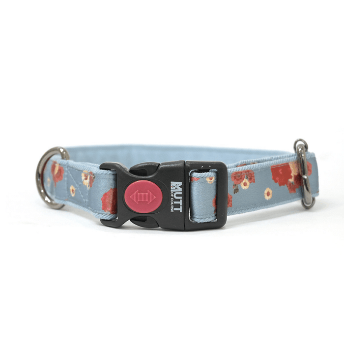 Mutt Of Course Collar For Dogs - Pawesome Blossom