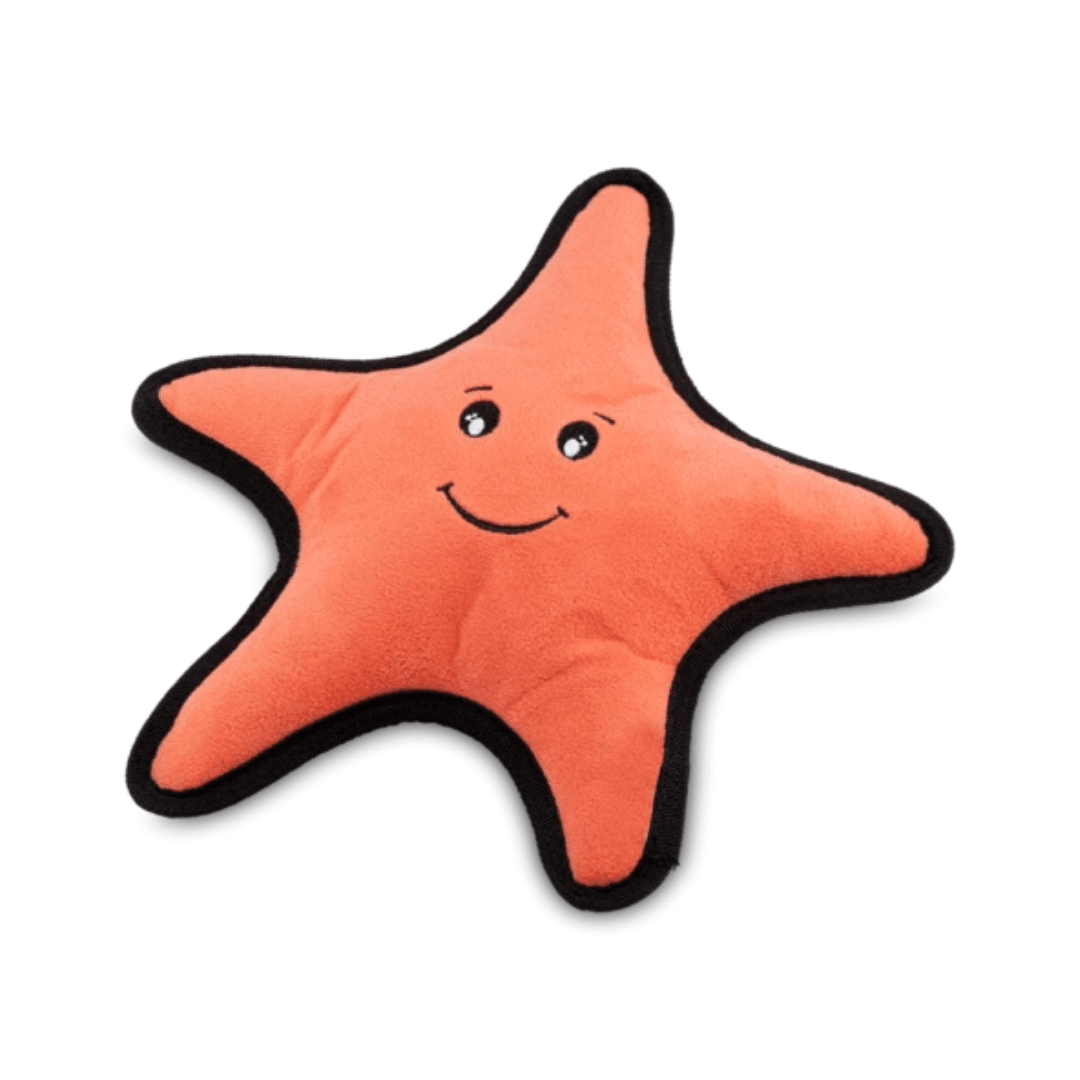 Becopets Dog Toys - Rough & Tough Recycled Plastic Toys - Starfish