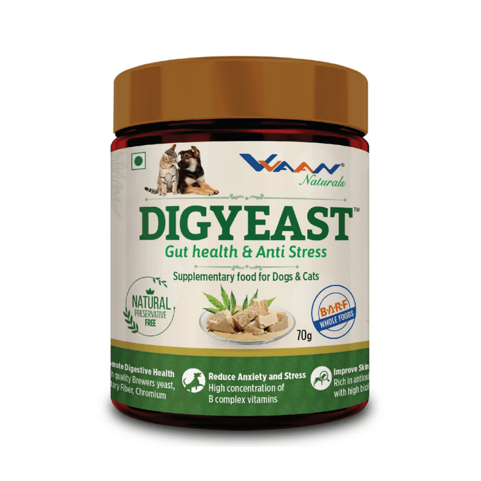 Vvaan Supplements for Cats & Dogs - Digyeast for Gut Health (70g)