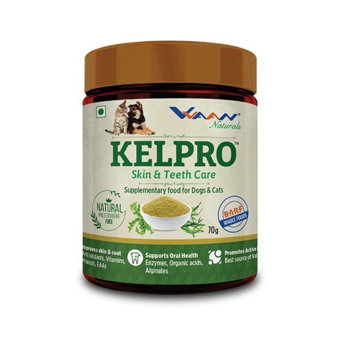 Vvaan Supplements for Cats & Dogs - Kelpro Skin & Teeth Care (70g)