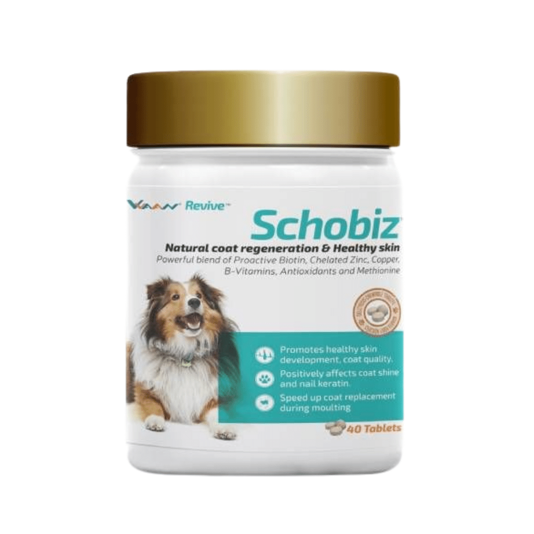 Vvaan Supplements for Dogs - Schobiz Biotin Supplement (40 tabs)
