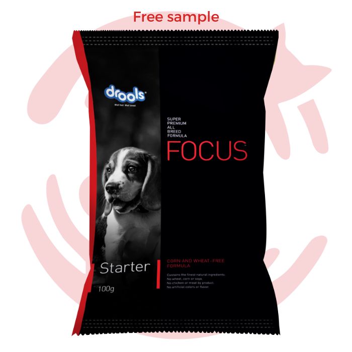 Sample - Starter Drools Dry Food - Focus (100g)
