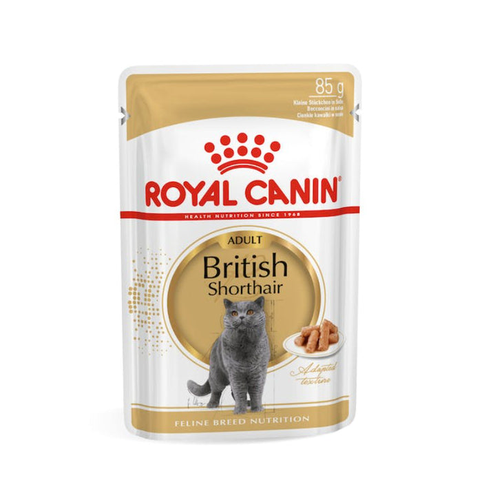 Royal Canin Feline Breed Nutrition British Shorthair Adult Wet Cat Food (85g x 12 Gravy Pouches)