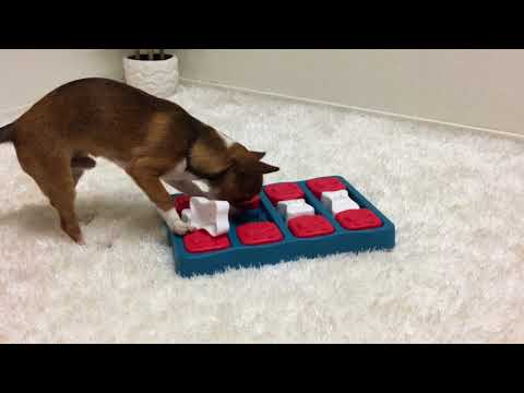 Outward Hound Brick Treat Puzzle Dog Toy - Feeders Pet Supply