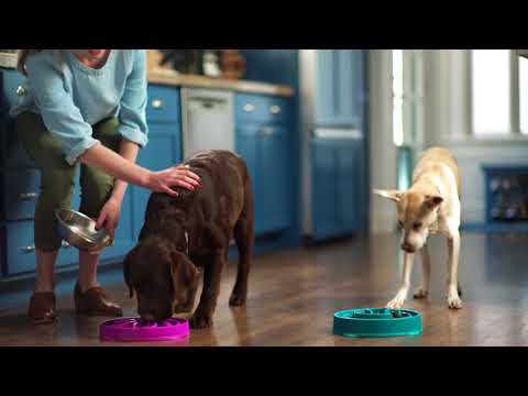 Outward Hound Fun Feeder Interactive Dog Bowl, Purple, Large