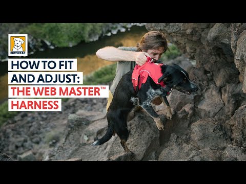 Ruffwear Harness for Dogs - Web Master