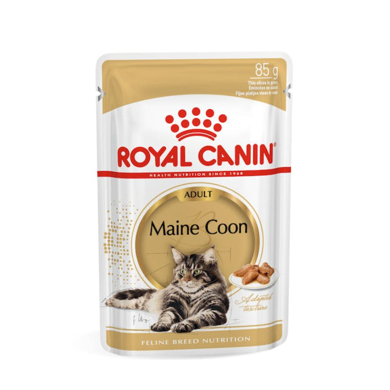 Royal Canin Feline Breed Nutrition Maine Coon Adult Wet Cat Food (85g x 12 Gravy Pouches)