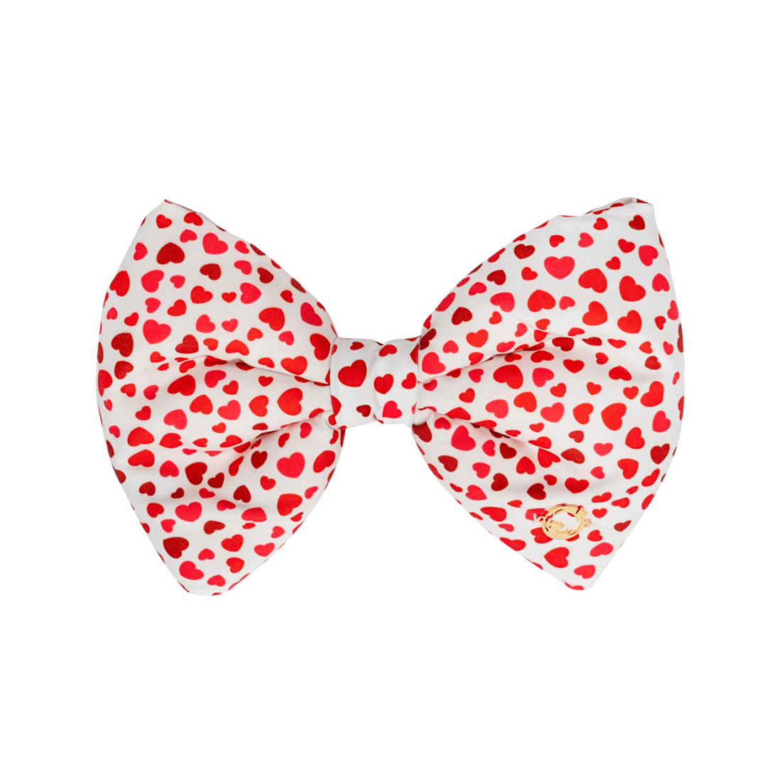 Petsy Bow for Cats and Dogs - Hearts Full Of Love